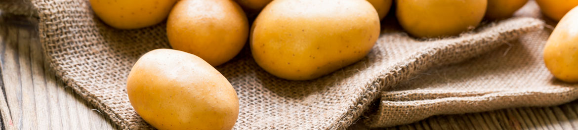 Aktuelles